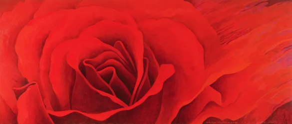 La Rose, dans le Festival de Lumière, 1995